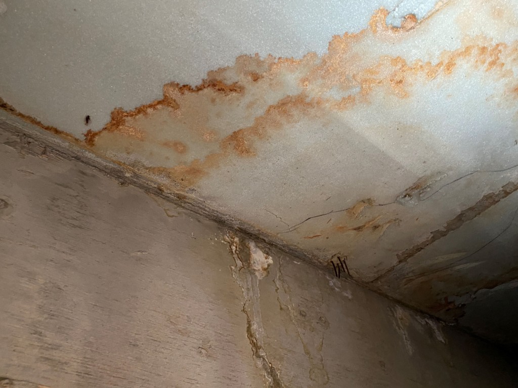 20240708_042914269_iOS