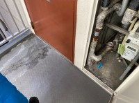 20250322_092451000_iOS