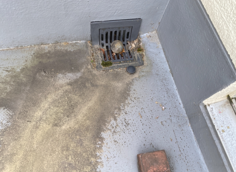 20250726_095801000_iOS