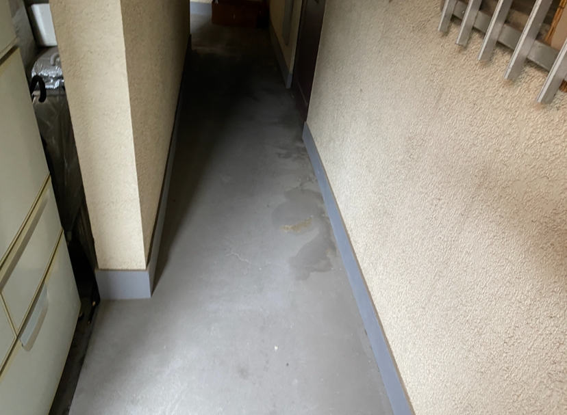 20250814_032926000_iOS