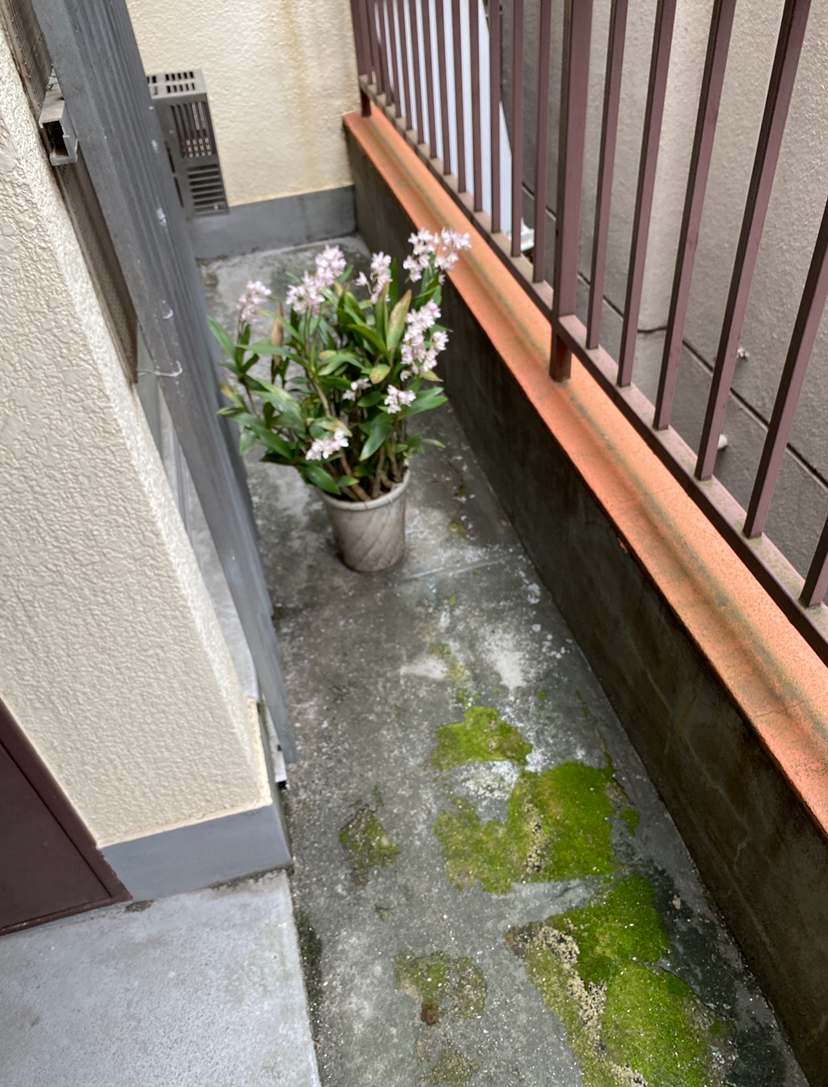 20250814_032957000_iOS