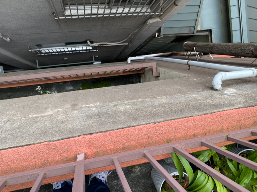 20250814_033021000_iOS