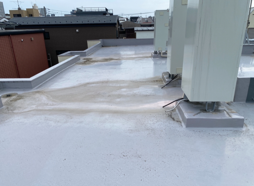 20250814_042814000_iOS