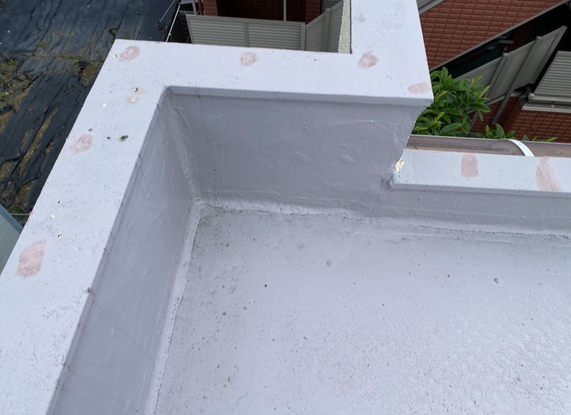 20250814_042822000_iOS